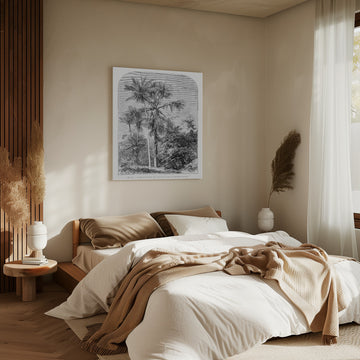 Vintage Palm Tree Drawing Iv | Canvas - Room Interior 2