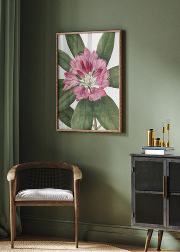 Mountain Rose Bay (1932) | Poster - Room Interior 2