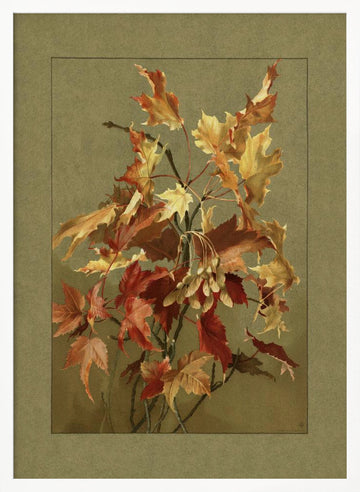 Autumn Leaves, Maple | Poster - White Frame Interior