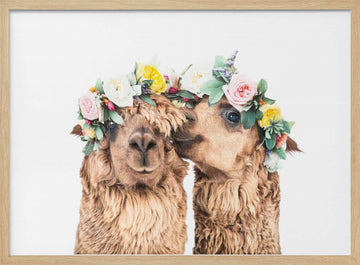 Boho Alpacas | Poster - Wood Frame Interior