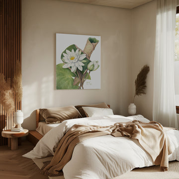 American Waterlily (1920) | Canvas - Room Interior 2