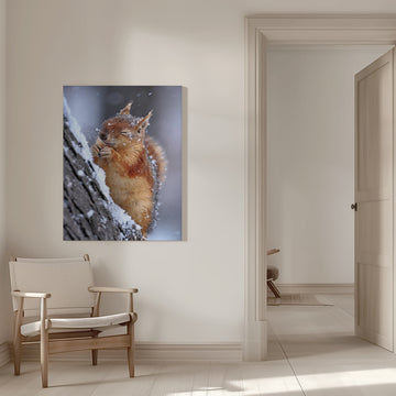 Happy Winter Squirrel | Canvas - Room Interior 1