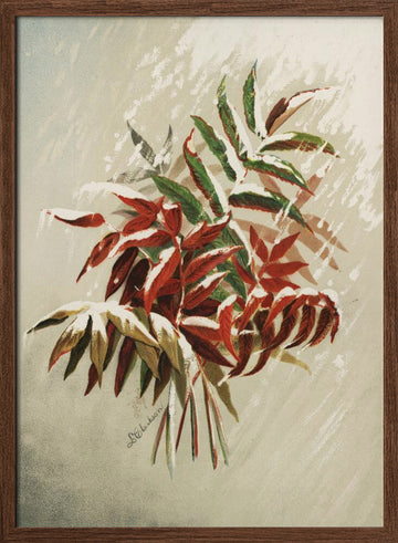 Leaves In Snow | Poster - Walnut Frame Interior