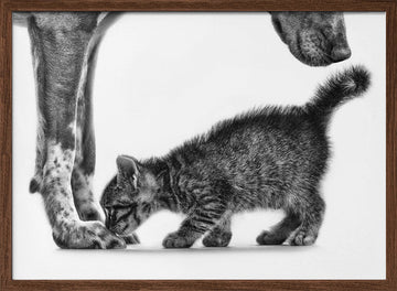 Gentle Dog Kitten | Poster - Walnut Frame Interior