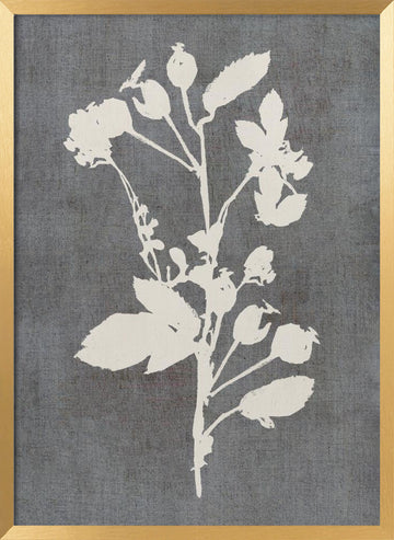 Botanical Rose Silhouette | Poster - Gold Frame Interior