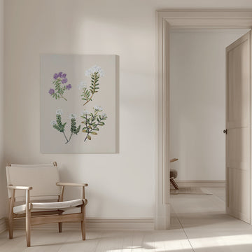 Veronica 4 Species Drawn By Sarah Featon (1848–1927) | Canvas - Room Interior 1