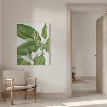 Cucumbertree 1922 | Canvas - Room Interior 1