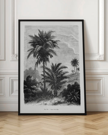 Vintage Palm Tree Drawing V | Poster - Room Interior 1