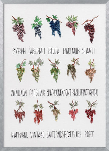 Wine Grape Varieties | Poster - Silver Frame Interior