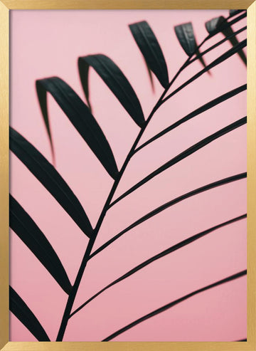 Pink Palm Leaf | Poster - Gold Frame Interior