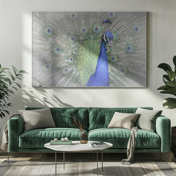 Majestic Peacock Display | Poster - Room Interior 1