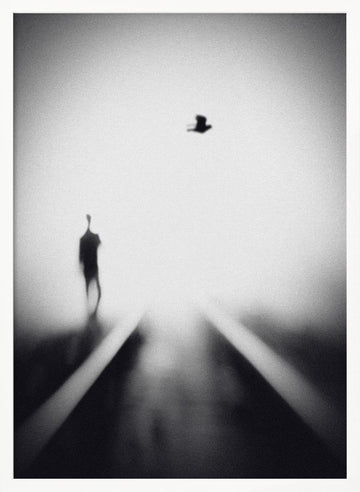 Solitary Man Flying Bird | Poster - White Frame Interior