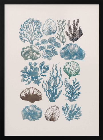 Vintage Marine Flora | Poster - Black Metal Frame Interior