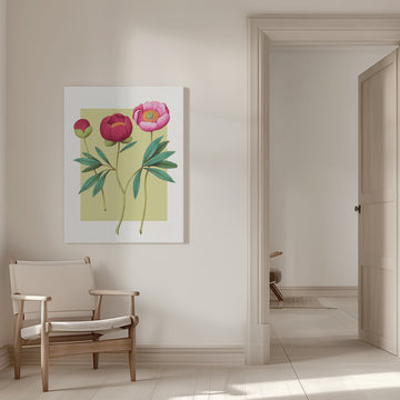 Botanical Peony Blooms | Canvas - Room Interior 1