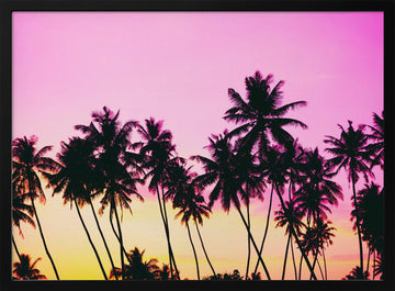 Pink Sky Palm Trees | Poster - Black Metal Frame Interior