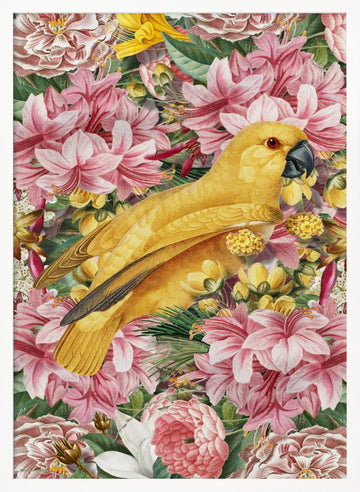 Yellow Parrot Tropical Flowers | Poster - White Frame Interior