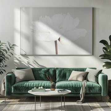 White Peony Bloom | Poster - Room Interior 1