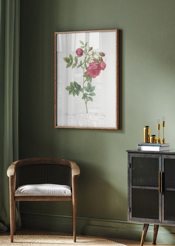 Turnip Roses, Les Roses (1817–1824) | Poster - Room Interior 2