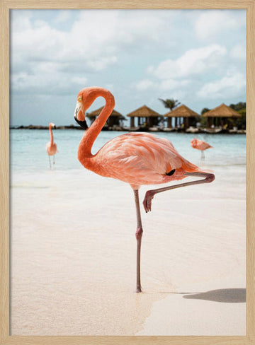 Pink Flamingo Beach | Poster - Wood Frame Interior