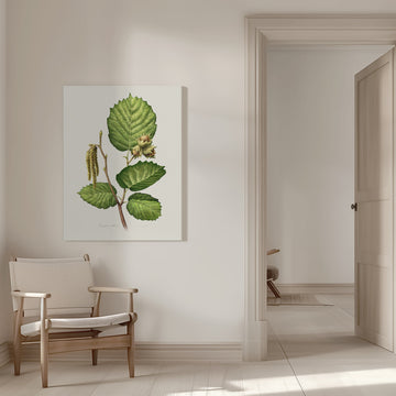 Hazelnut Branch Botanical | Canvas - Room Interior 1