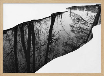 Winter Tree Reflection | Poster - Wood Frame Interior