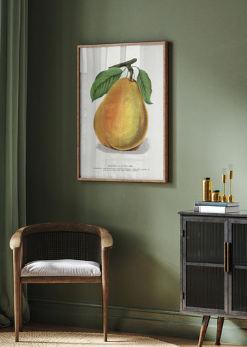 Duchess D'angouleme Pear Lithograph | Poster - Room Interior 2