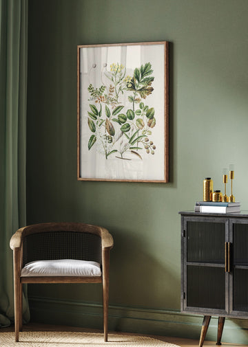 Rubens Australis By Sarah Featon | Poster - Room Interior 2
