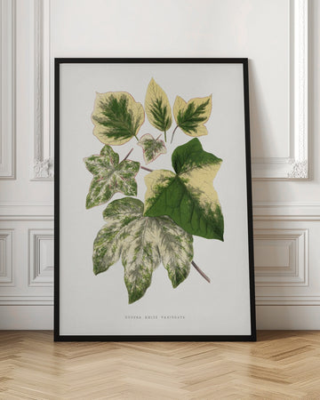 Green Leaf Illustration | Poster - Room Interior 1