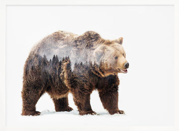 Forest Bear Spirit | Poster - White Frame Interior