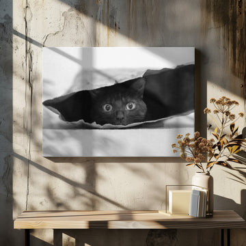 Curious Black Cat | Canvas - Room Interior 2