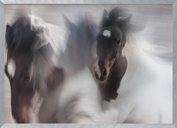 Spirited Horse Motion | Poster - Silver Frame Interior