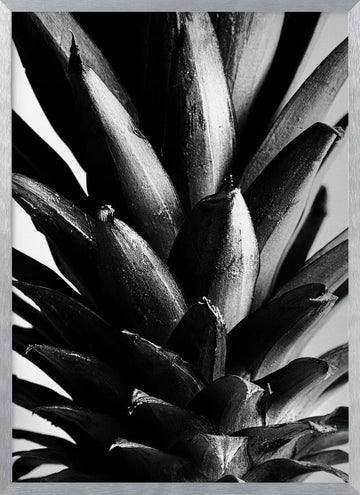 Bold Pineapple Texture | Poster - Silver Frame Interior