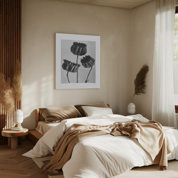 Abutilon (Lime Mallow | Canvas - Room Interior 2