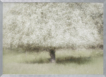 In the backyard | Poster - Silver Frame Interior