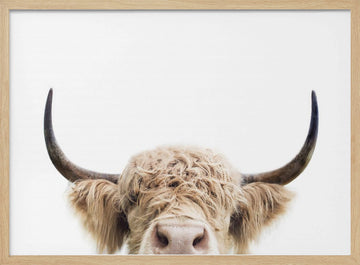 Peeking Cow | Poster - Wood Frame Interior