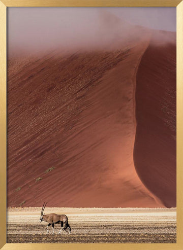 Misty Red Desert Oryx | Poster - Gold Frame Interior