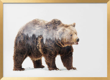 Forest Bear Spirit | Poster - Gold Frame Interior