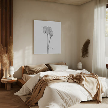 Elegant Tulip Pair | Canvas - Room Interior 2