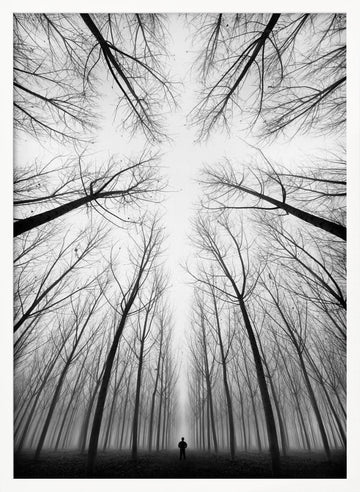 Lone Figure Foggy Forest | Poster - White Frame Interior