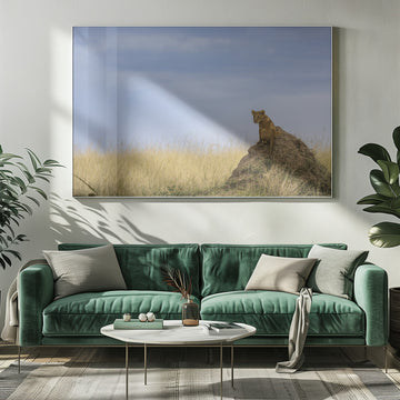 Curious Lion Cub Savanna | Poster - Room Interior 1