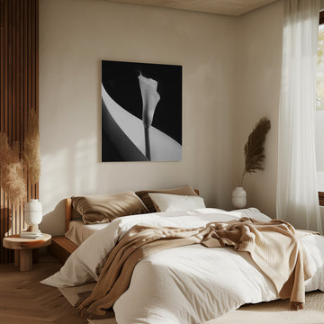 Elegant Calla Lily | Canvas - Room Interior 2