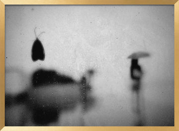 Moth and Umbrella Silhouette | Poster - Gold Frame Interior