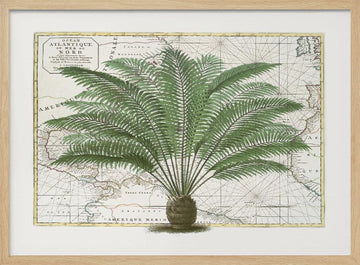 Vintage Palm Atlas | Poster - Wood Frame Interior