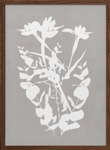 Modern Botanical Silhouettes | Poster - Walnut Frame Interior