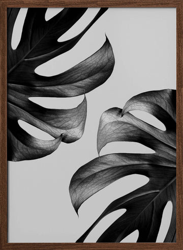 Elegant Monstera Duo | Poster - Walnut Frame Interior