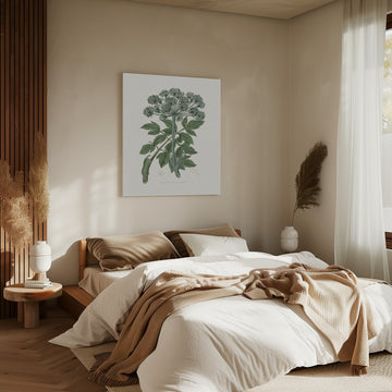 Angel Changelica Medical Botany | Canvas - Room Interior 2