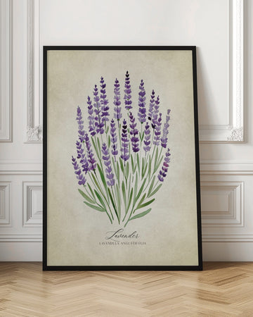 Purple Lavender Botanical | Poster - Room Interior 1