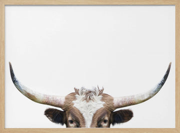 Peeking Longhorn Cow | Poster - Wood Frame Interior