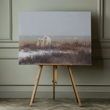 Polar Bear Family Winter | Canvas - Room Interior 1