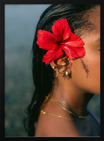 Hibiscus Serenity | Poster - Black Metal Frame Interior